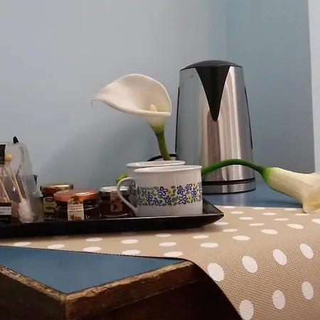 爱德梵蒂冈套房酒店 公寓 罗马