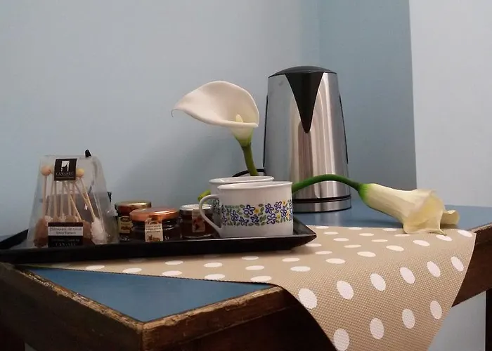 爱德梵蒂冈套房酒店 公寓 罗马